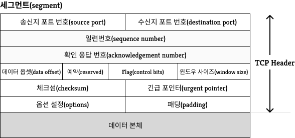 tcp header